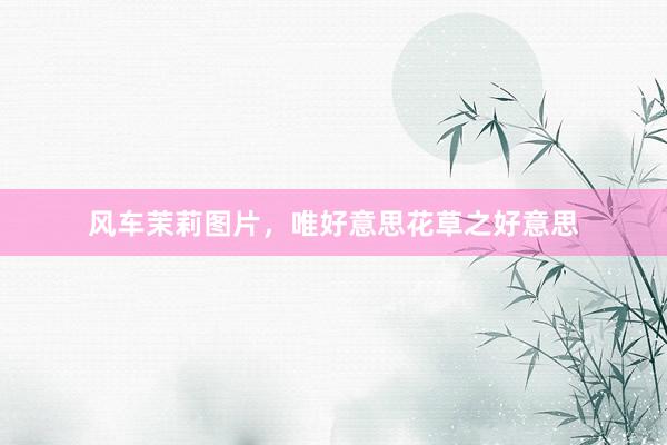 风车茉莉图片，唯好意思花草之好意思