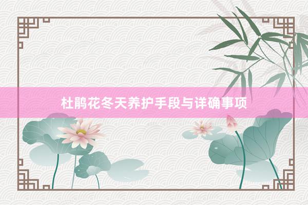 杜鹃花冬天养护手段与详确事项