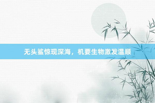 无头鲨惊现深海，机要生物激发温顺